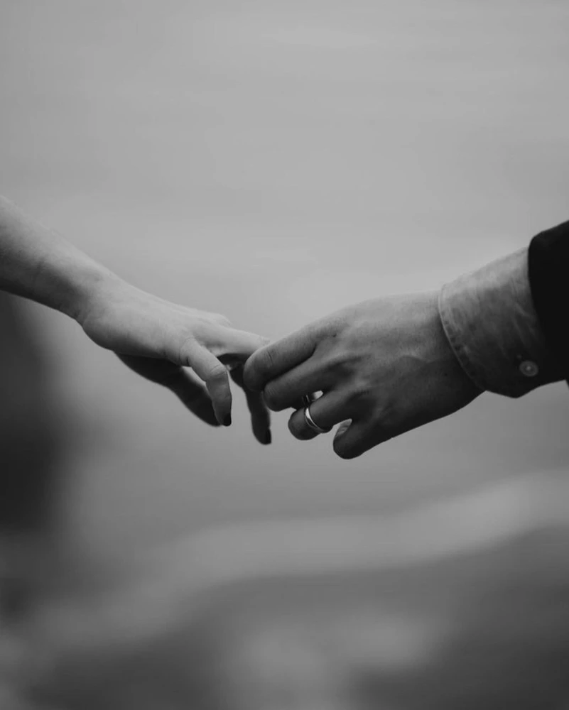 تصویر آپلود شده توسط Mohammad Reza