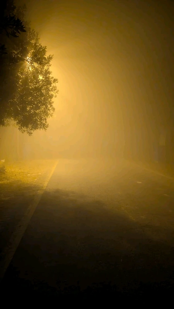 GIF uploaded by READ BIO ⬇
