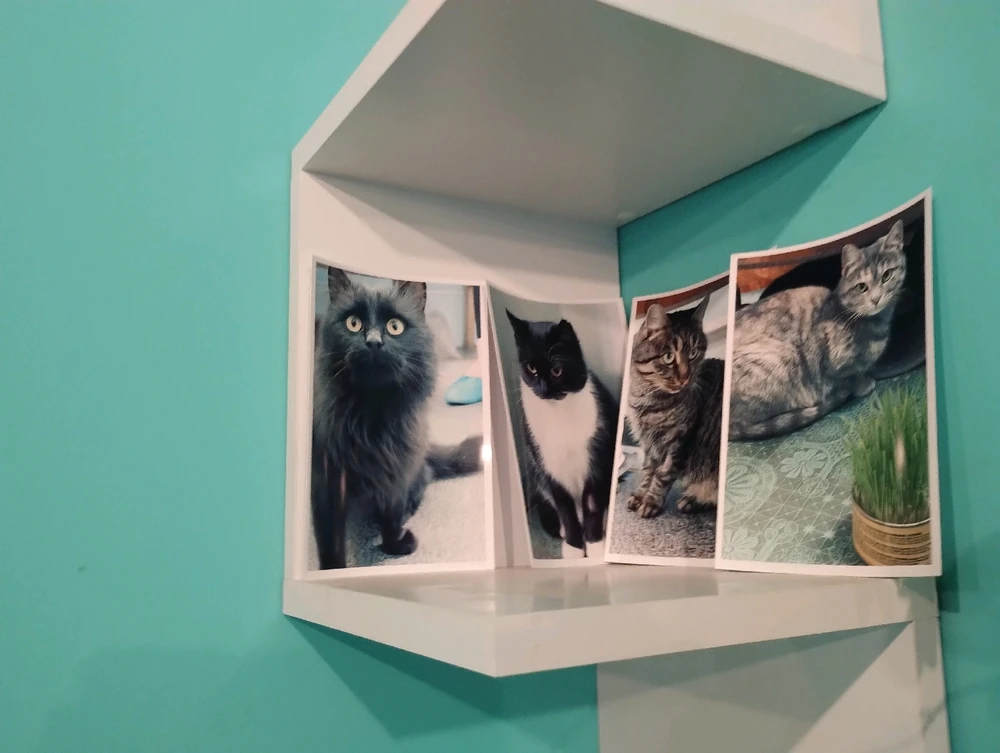 Зображення завантажив Ole