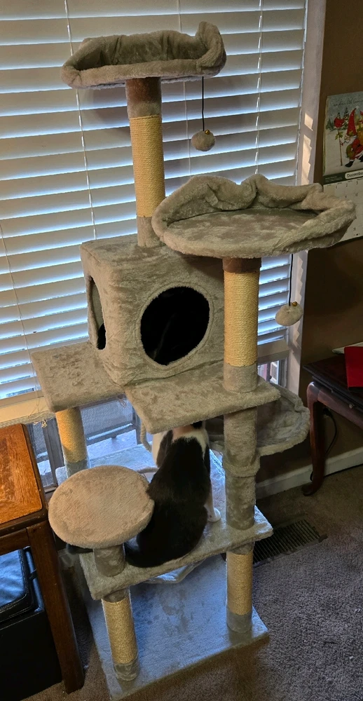 Image uploaded by Justin