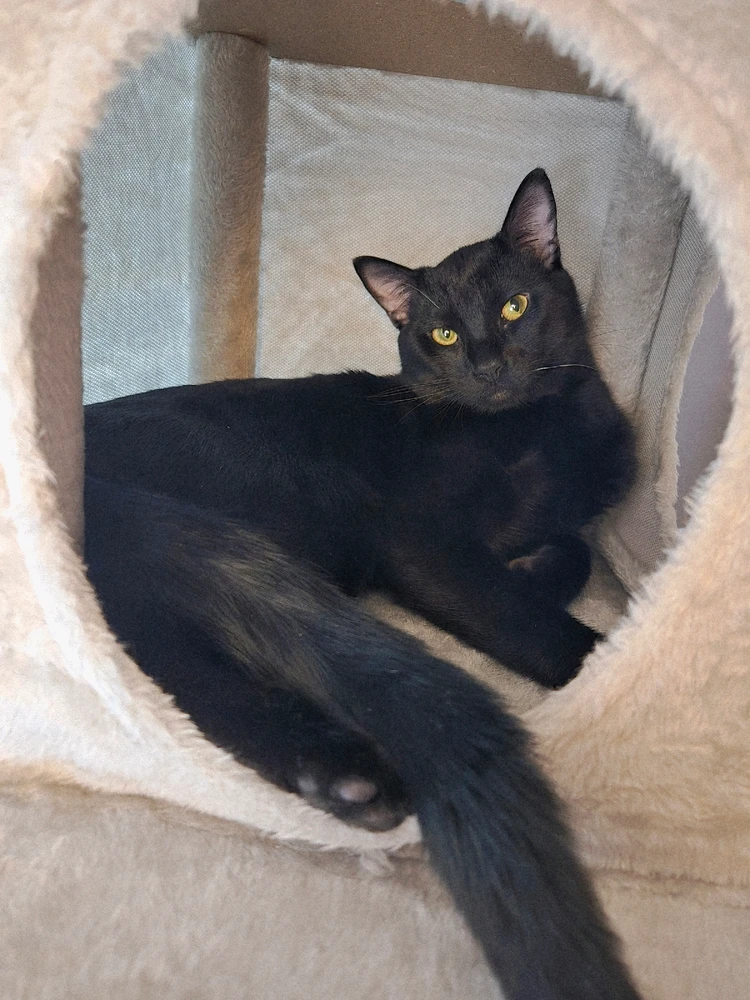 Image uploaded by Justin