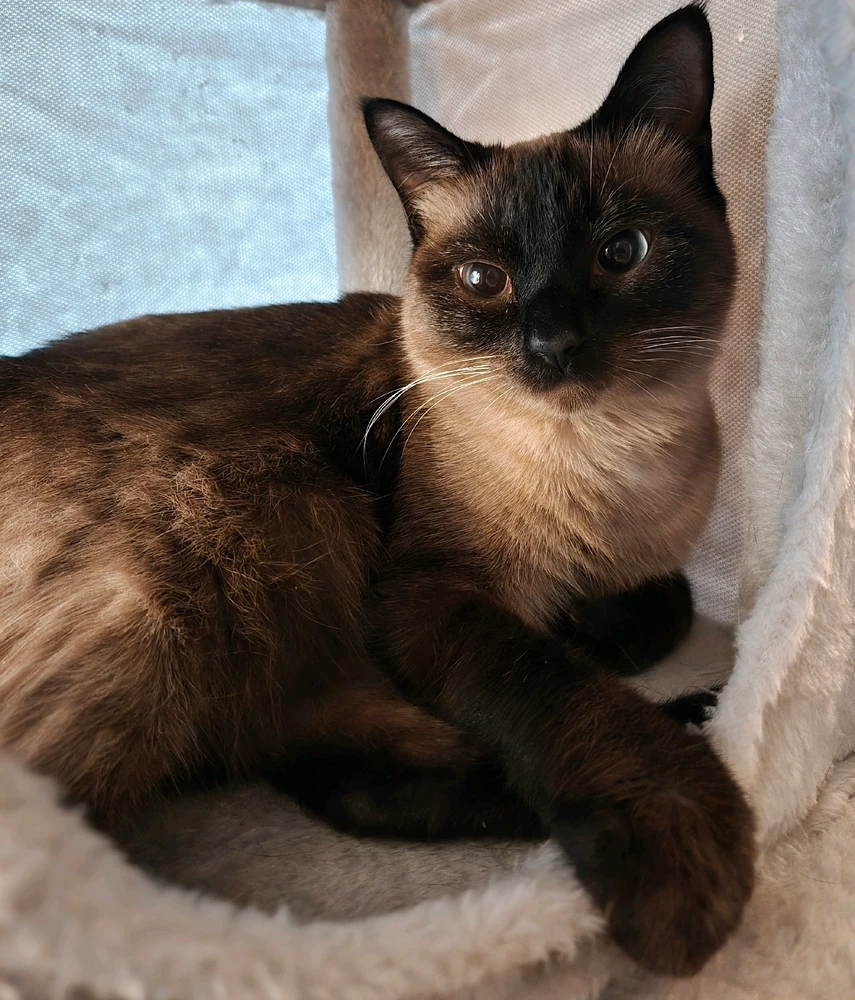 Image uploaded by Justin