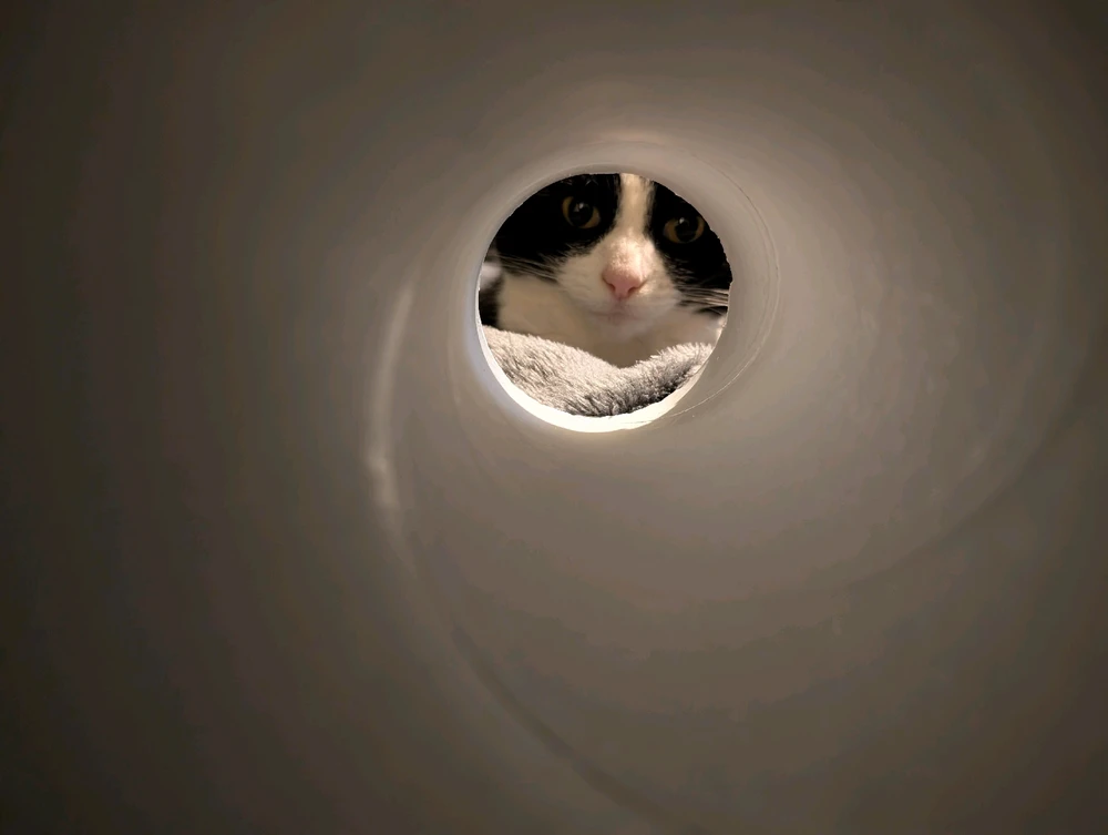 GIF uploaded by Andy