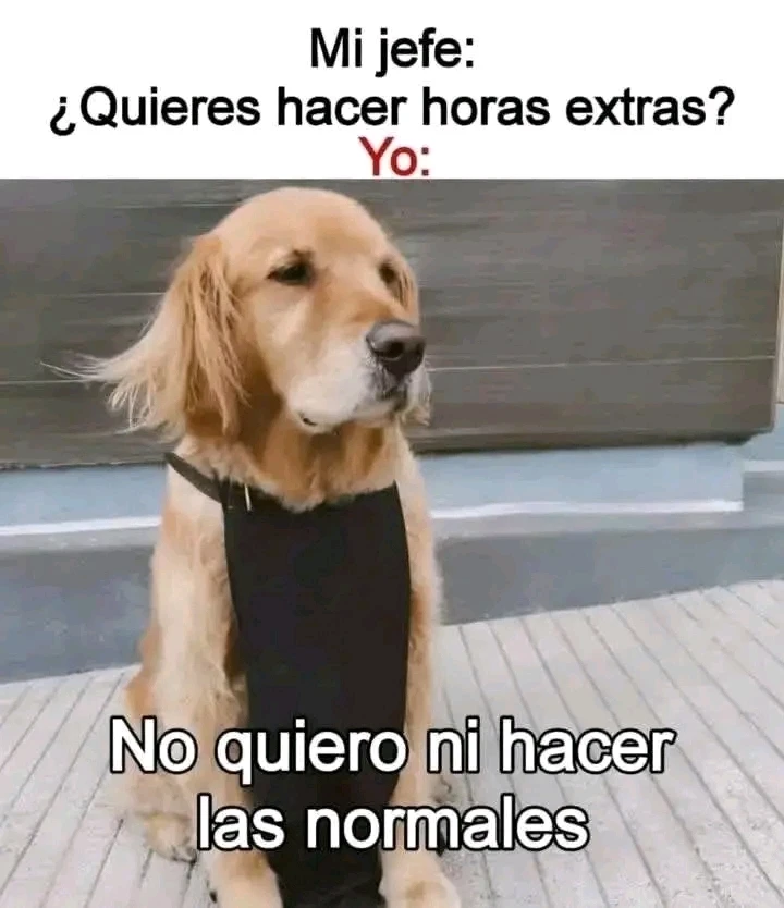 GIF subido por Aizen