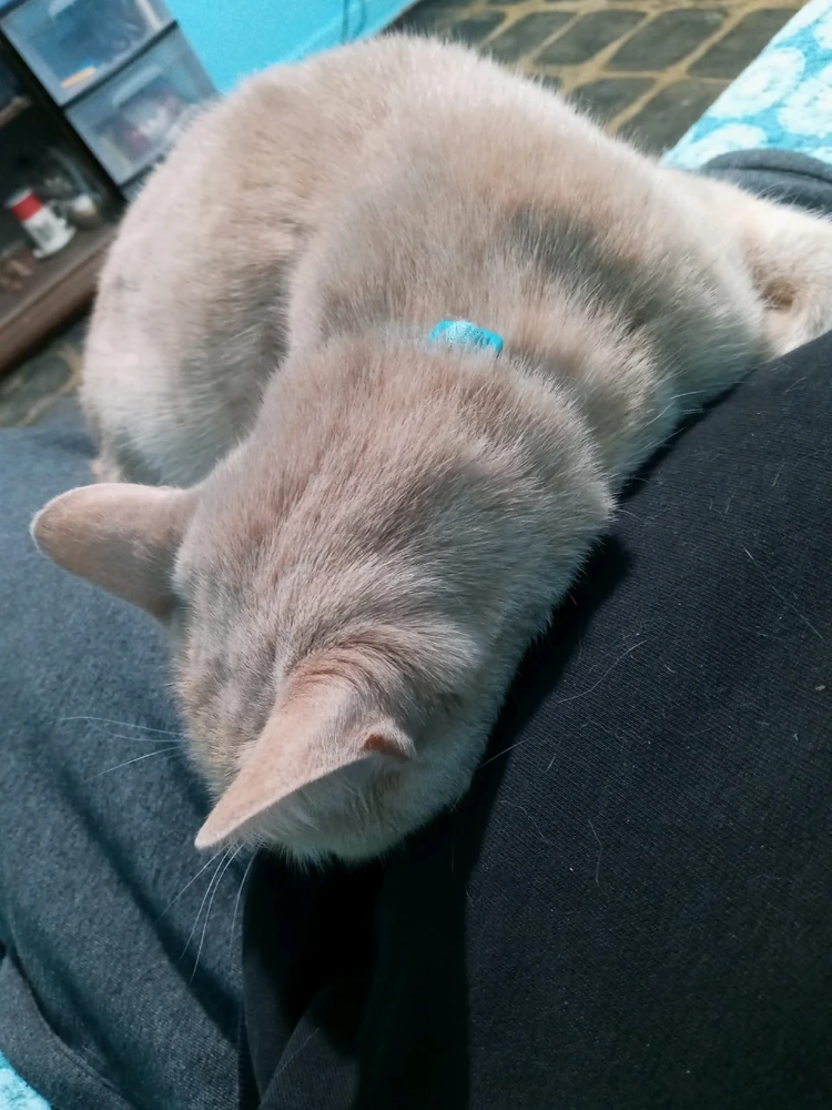 GIF uploaded by Brooke