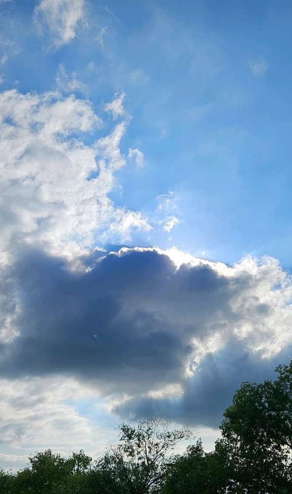 GIF uploaded by Phoebe