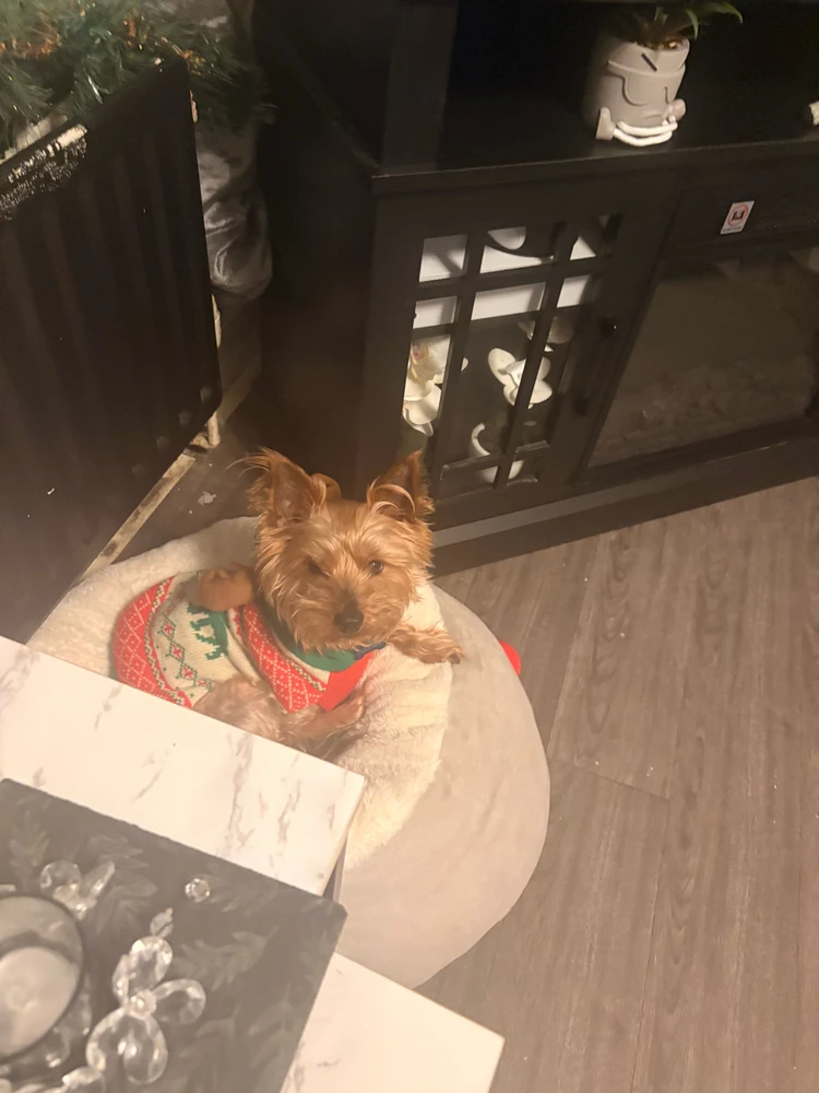 GIF uploaded by Rhys