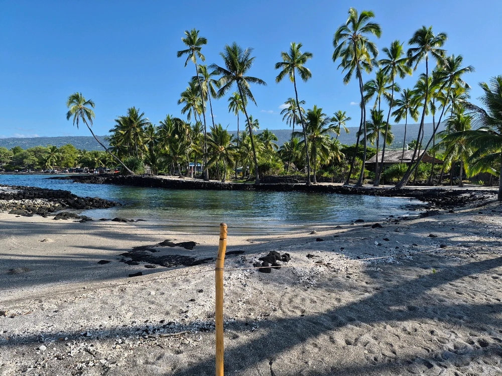 Image uploaded by Nick