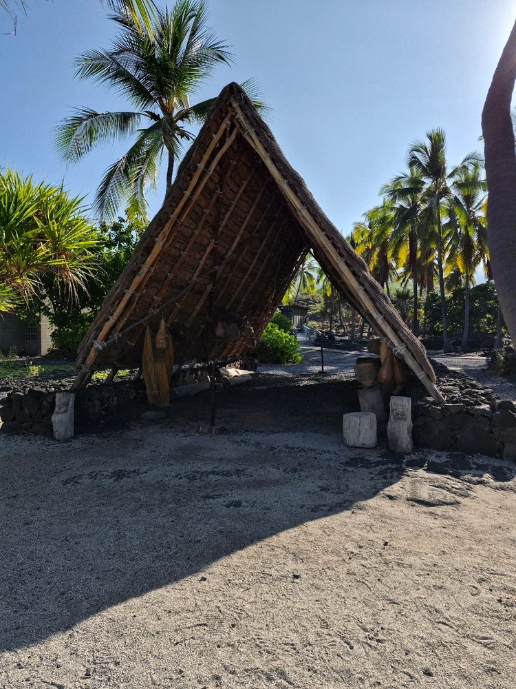 Image uploaded by Nick