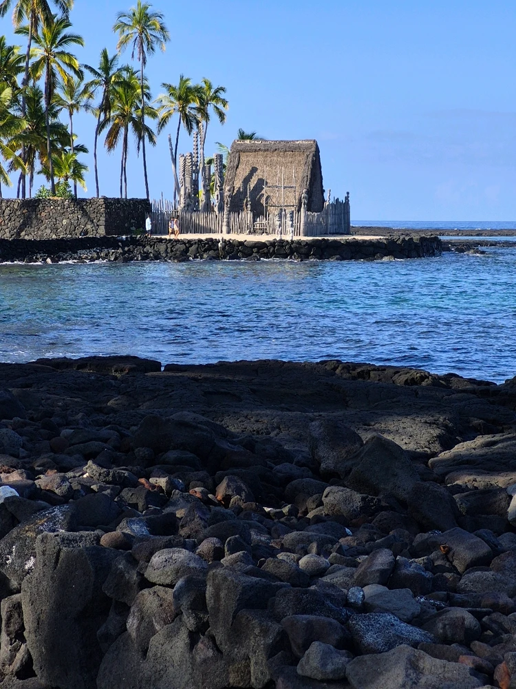 Image uploaded by Nick