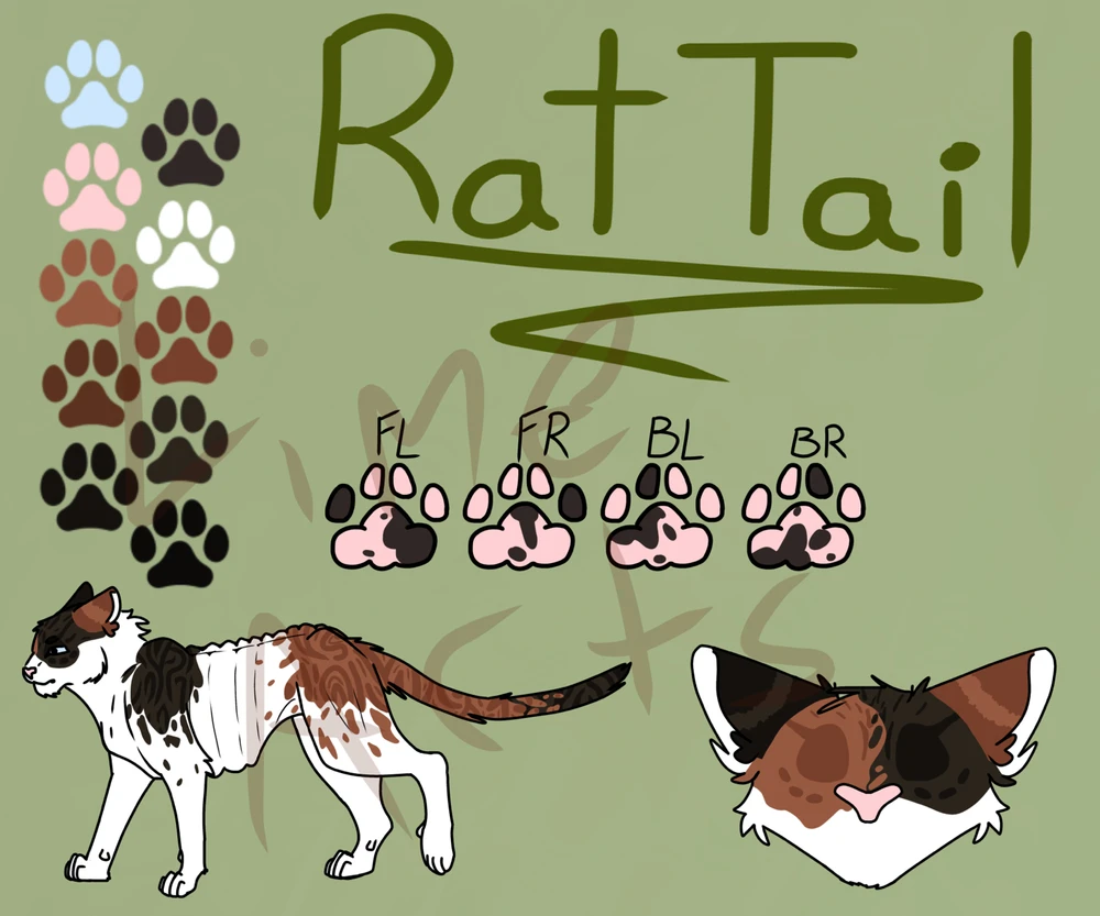 Gambar diunggah dening Liam