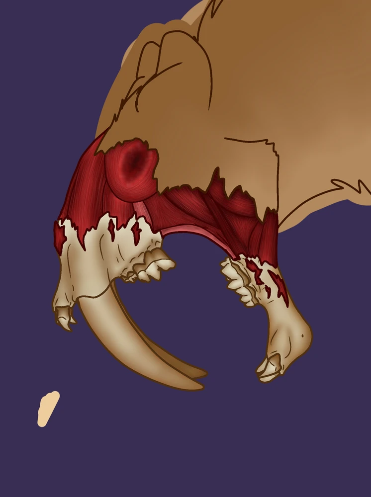 Gambar diunggah dening Liam