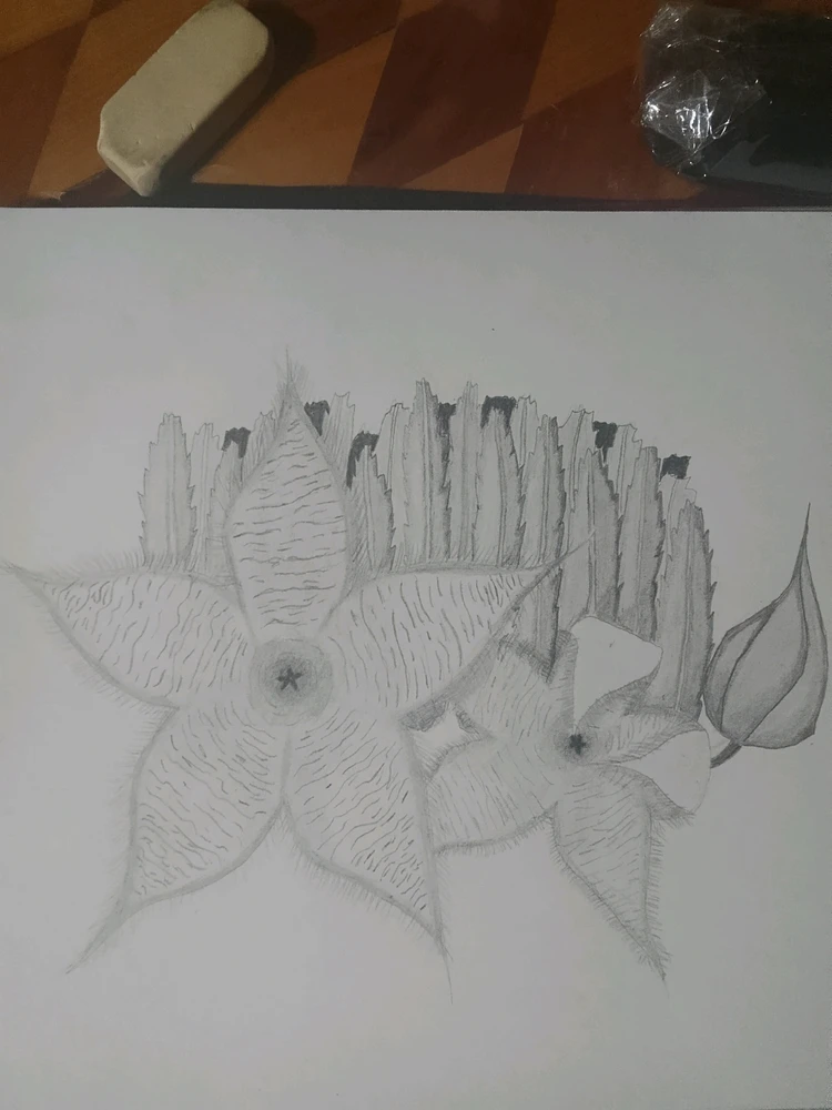 GIF uploaded by Juan M