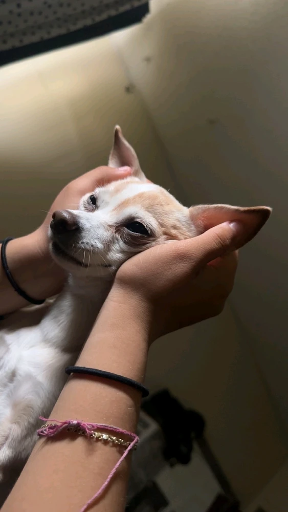 Image uploaded by JJ