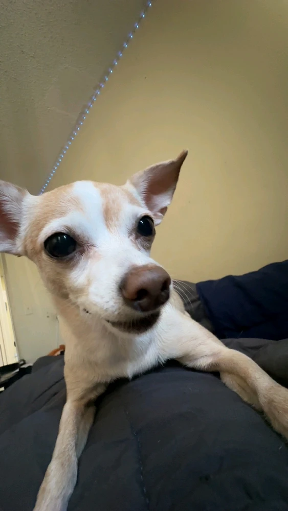 Image uploaded by JJ