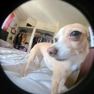 Image uploaded by JJ