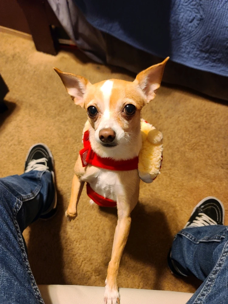 Image uploaded by JJ