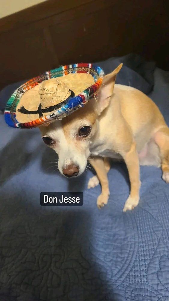 Image uploaded by JJ