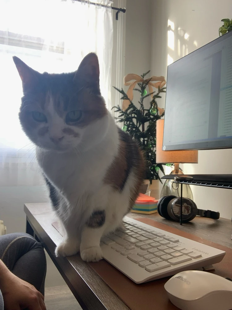 Image uploaded by Jessica