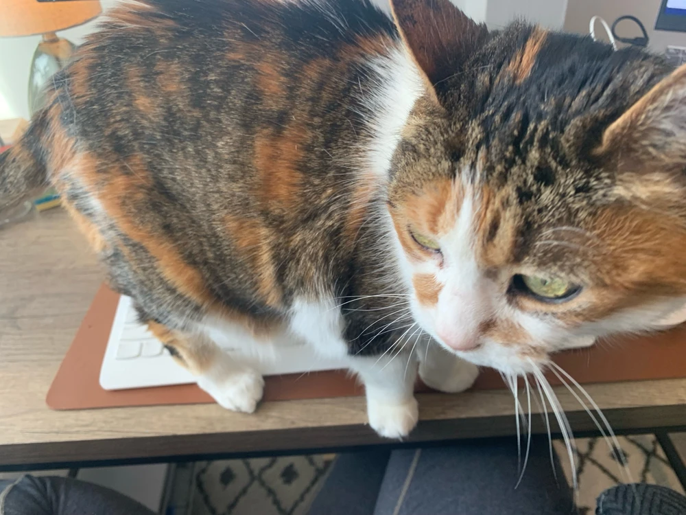 Image uploaded by Jessica