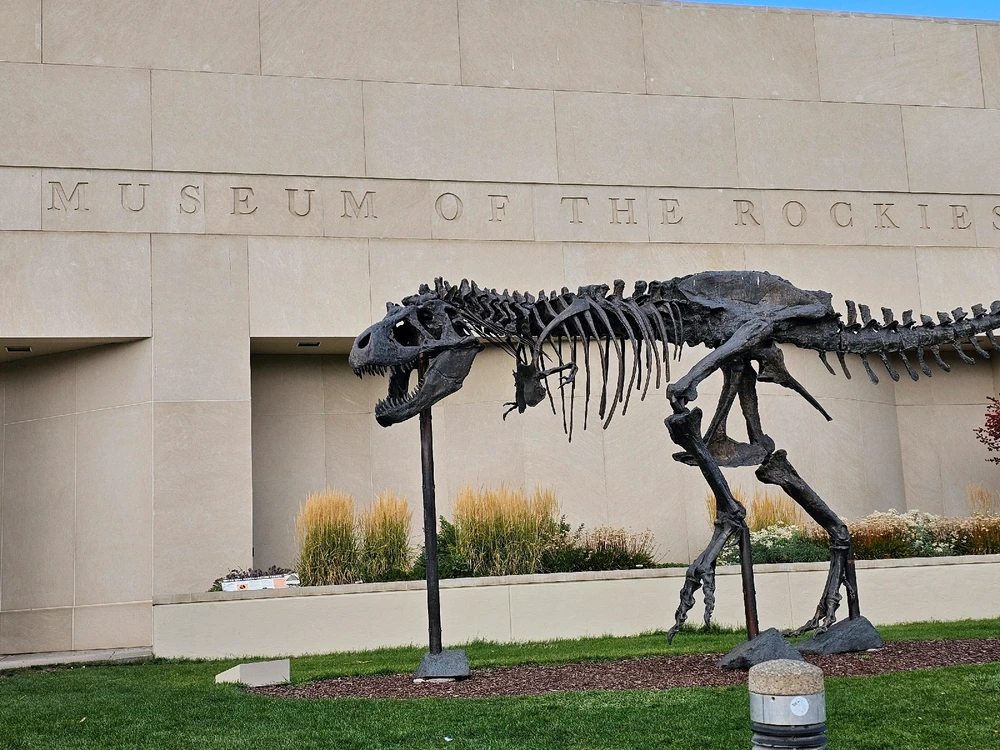 Image uploaded by Leonard Tompkins