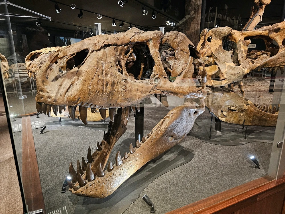 Image uploaded by Leonard Tompkins