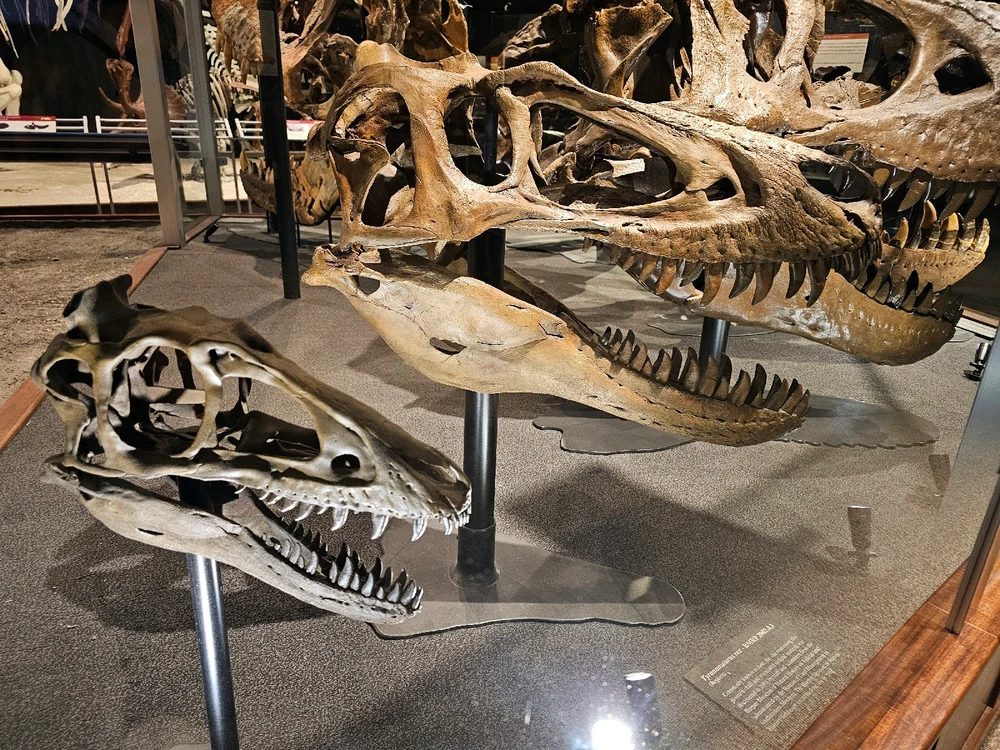 Image uploaded by Leonard Tompkins