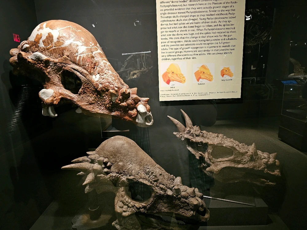 Image uploaded by Leonard Tompkins