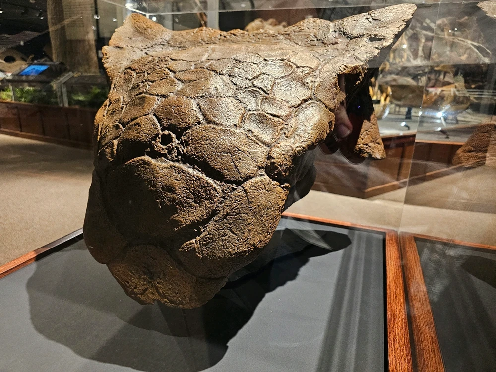 Image uploaded by Leonard Tompkins