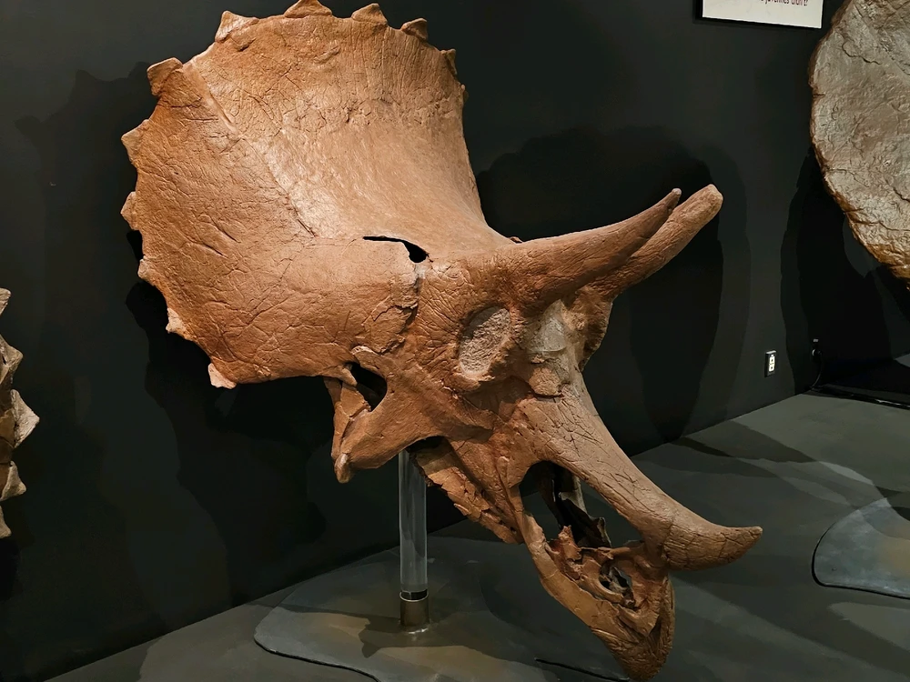 Image uploaded by Leonard Tompkins