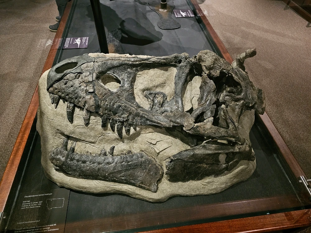 Image uploaded by Leonard Tompkins