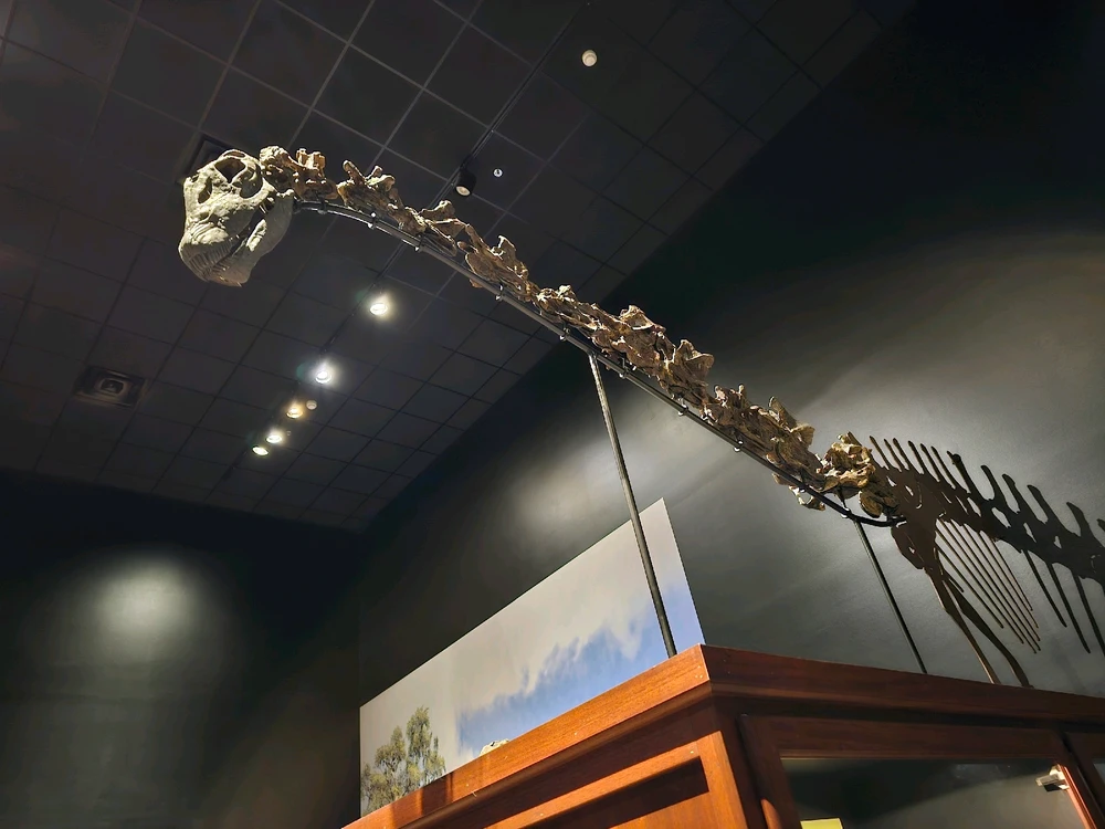 Image uploaded by Leonard Tompkins