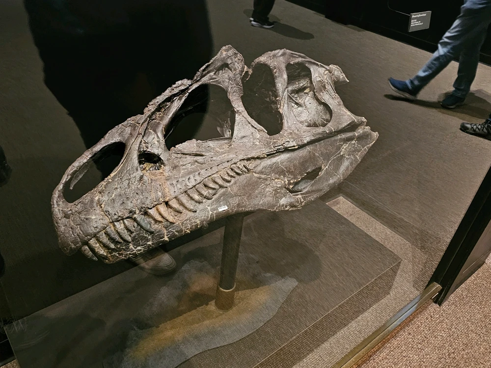 Image uploaded by Leonard Tompkins