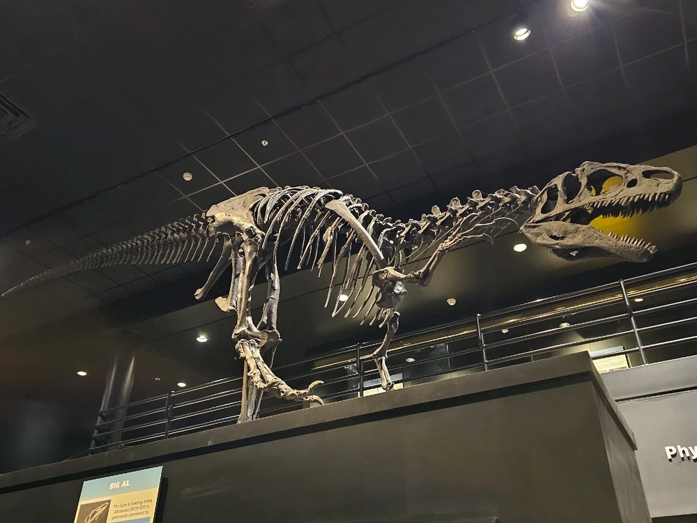 Image uploaded by Leonard Tompkins