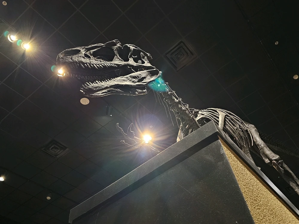 Image uploaded by Leonard Tompkins