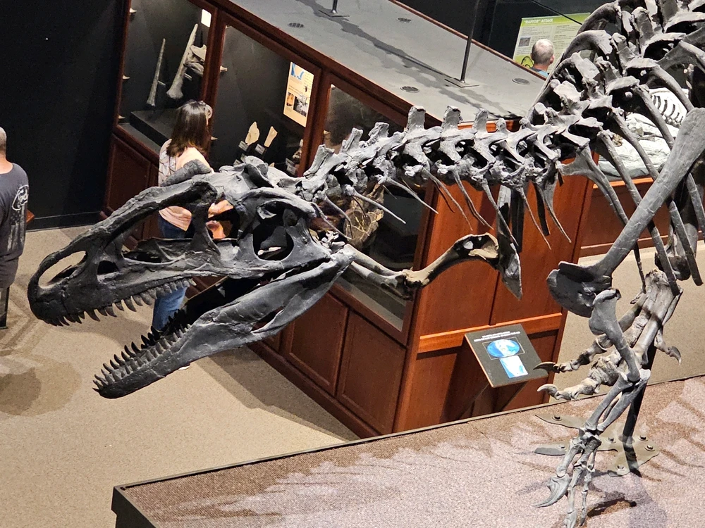 Image uploaded by Leonard Tompkins