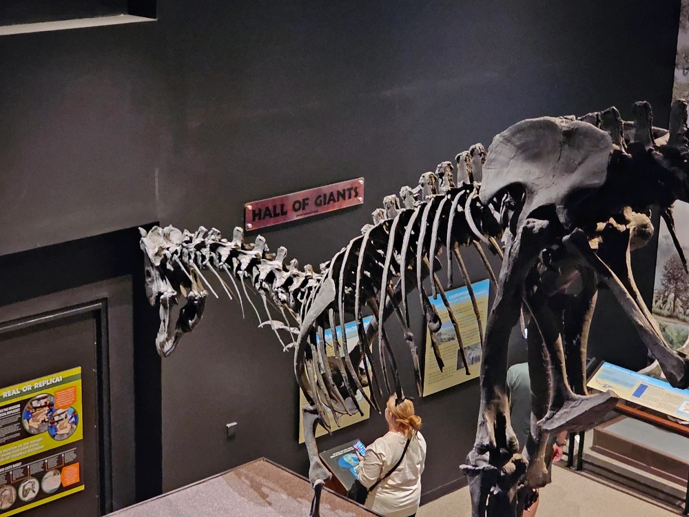 Image uploaded by Leonard Tompkins