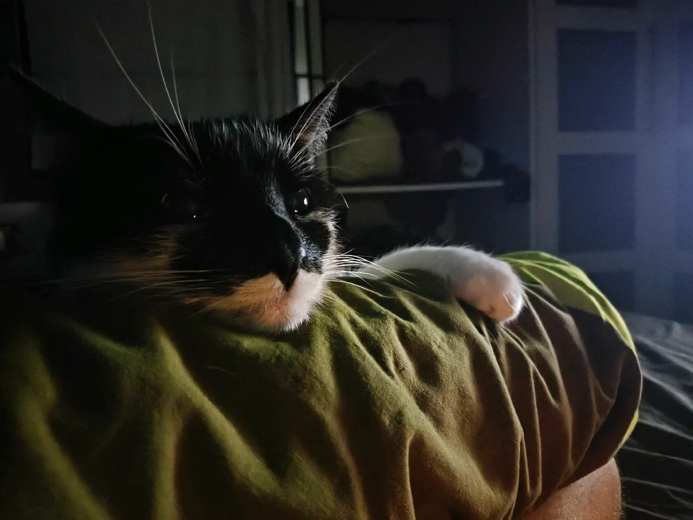 GIF hochgeladen von Pundo