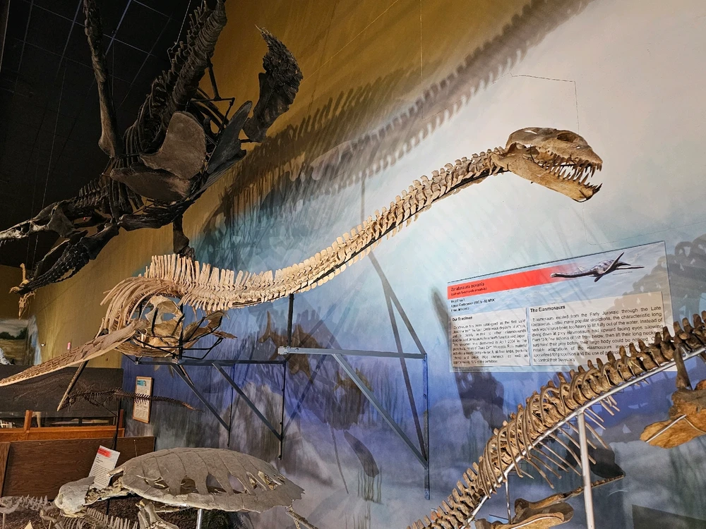 Duab xa los ntawm Leonard Tompkins