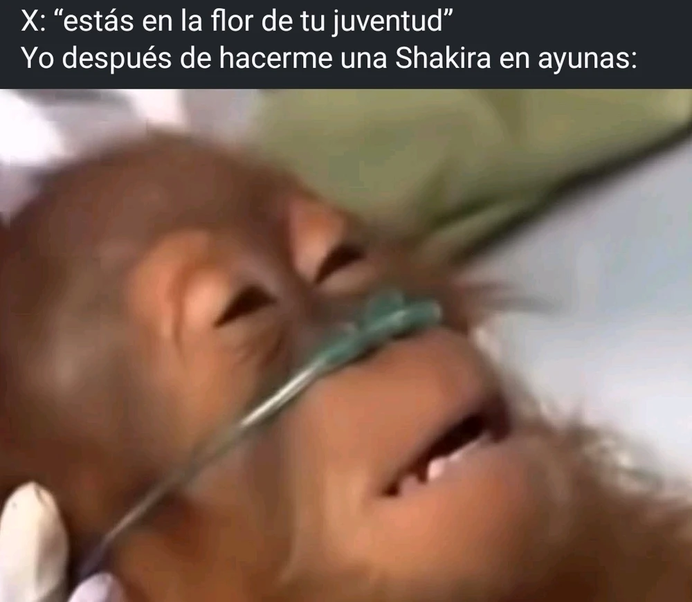 GIF subido por Fernando