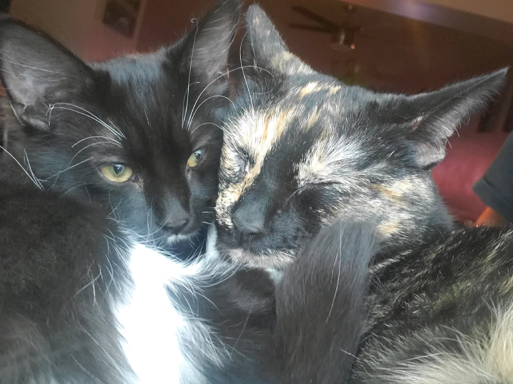 GIF uploaded by Jesse