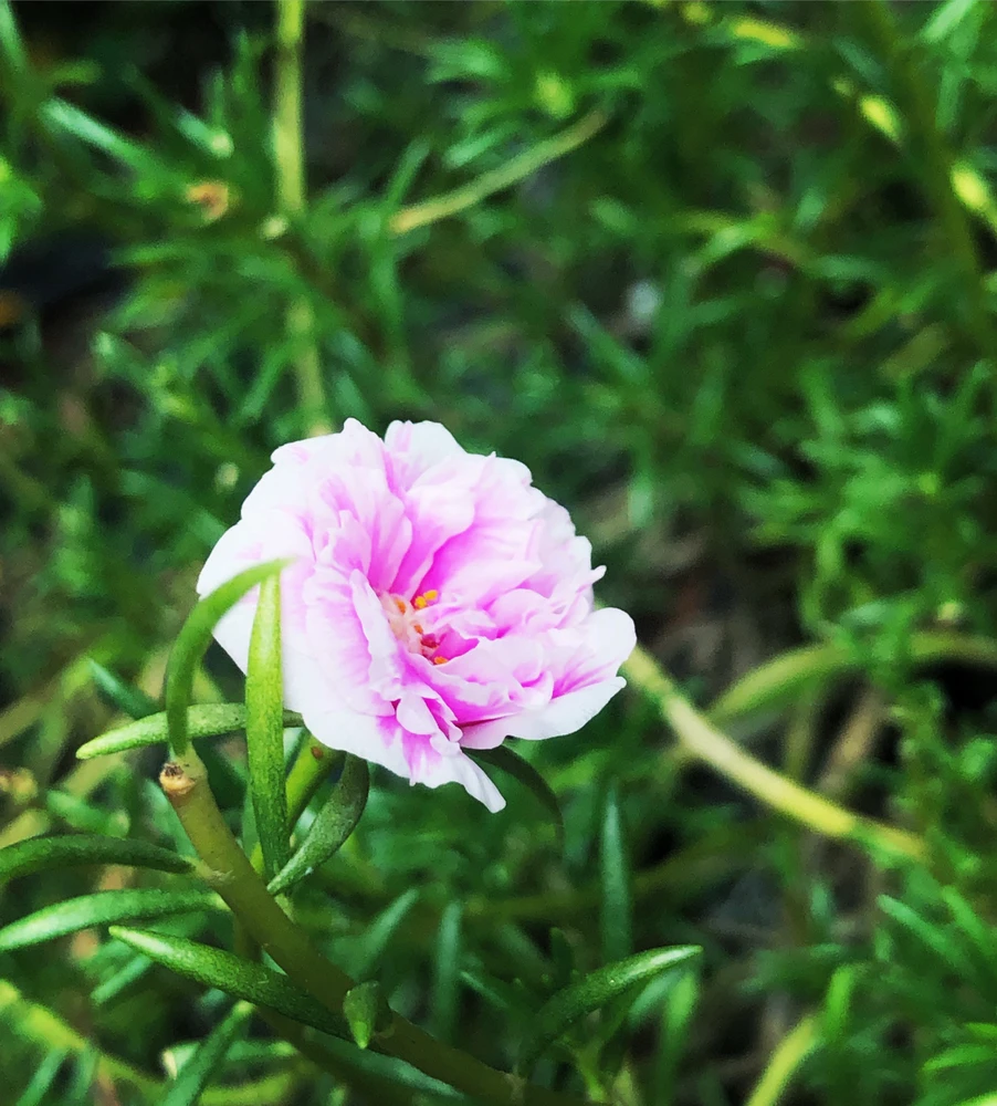 GIF uploaded by Abhi