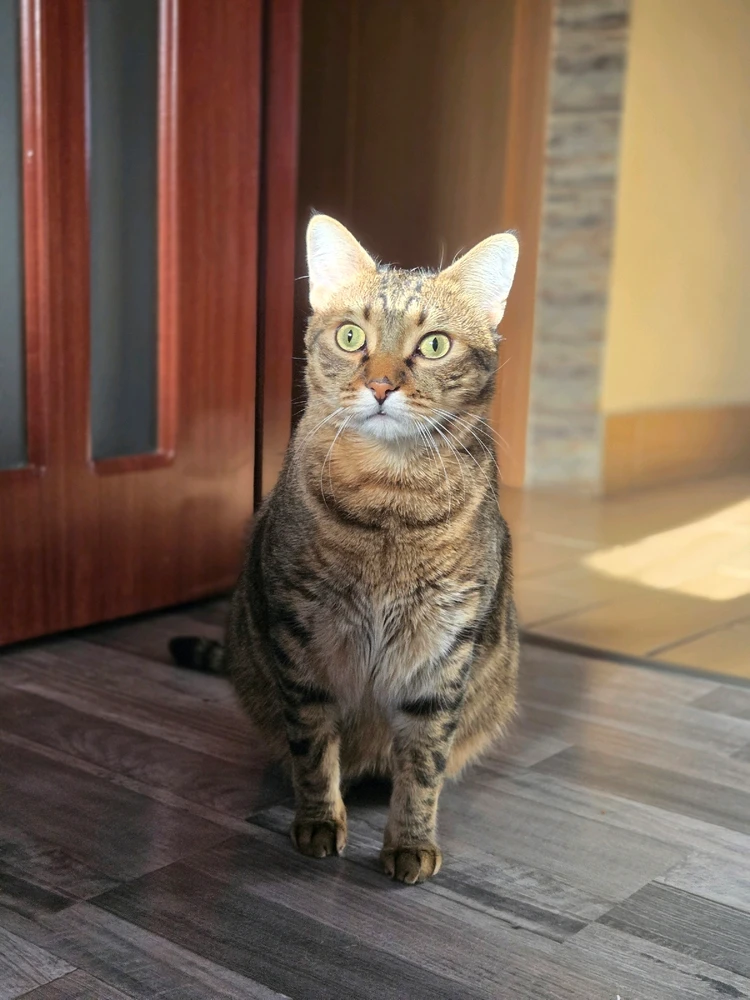 GIF încărcat de Cosmin