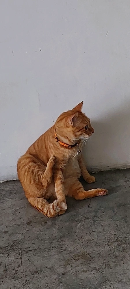 GIF uploaded by Aruzia