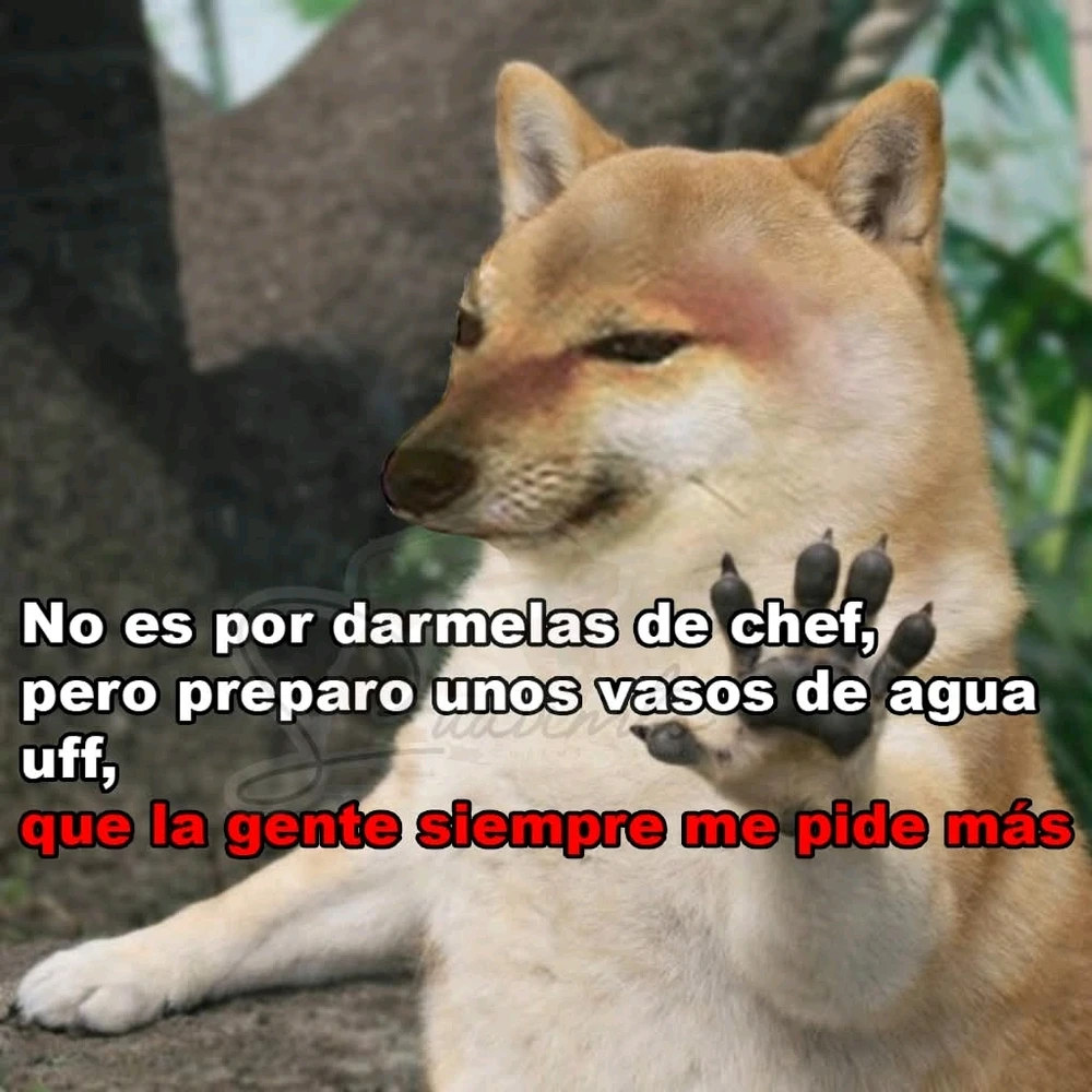 GIF subido por Alexander