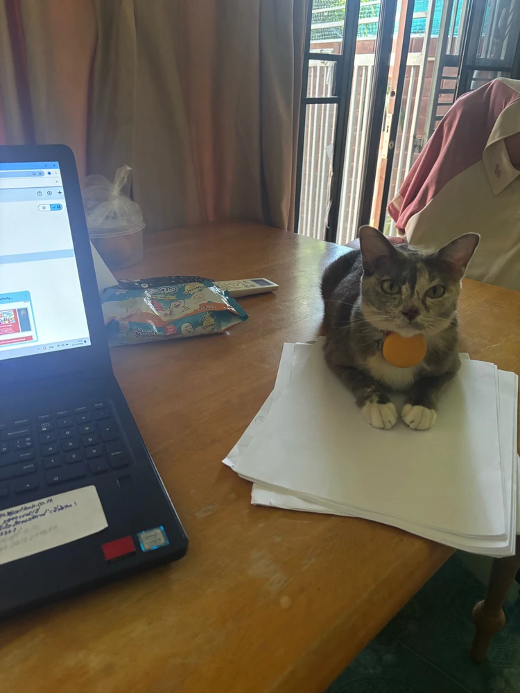 Image uploaded by Pat♡