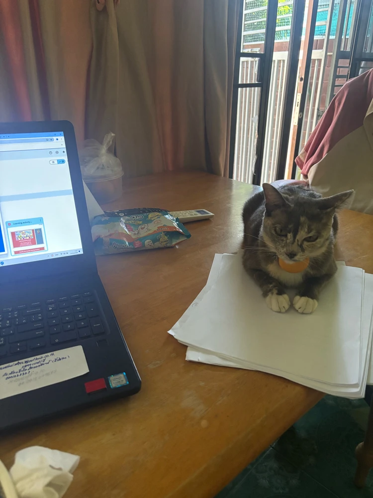 Image uploaded by Pat♡