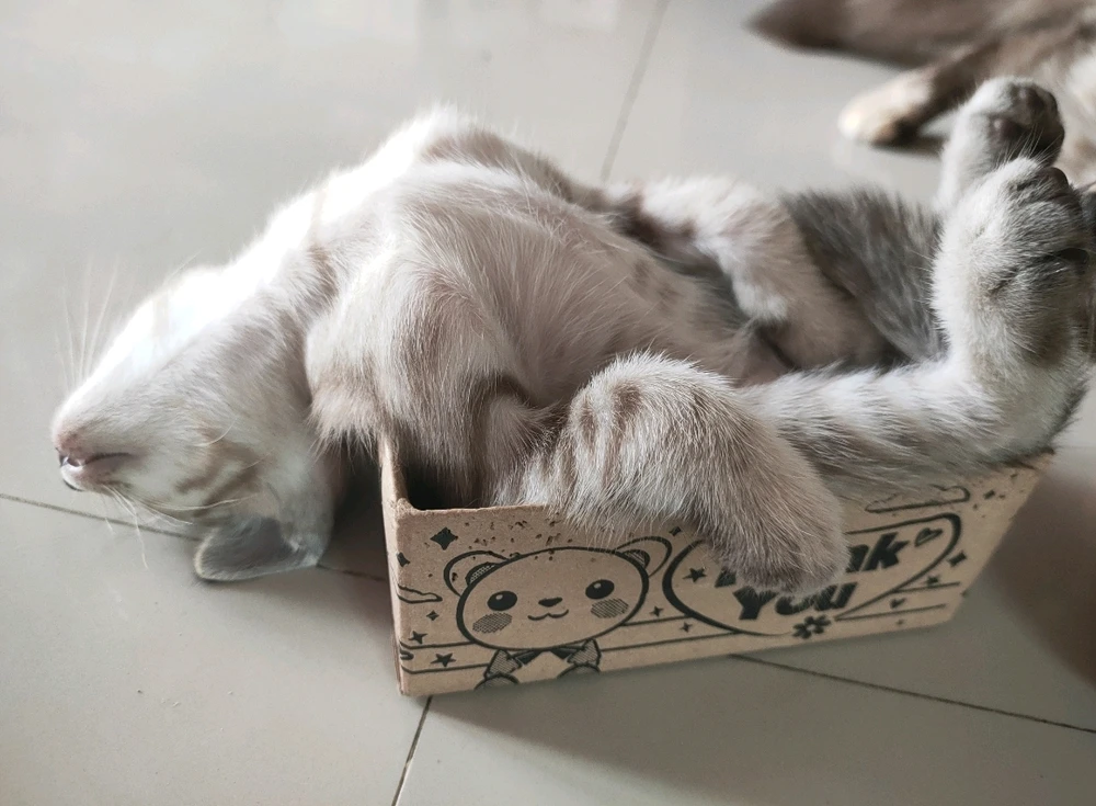 GIF uploaded by Jellyfish