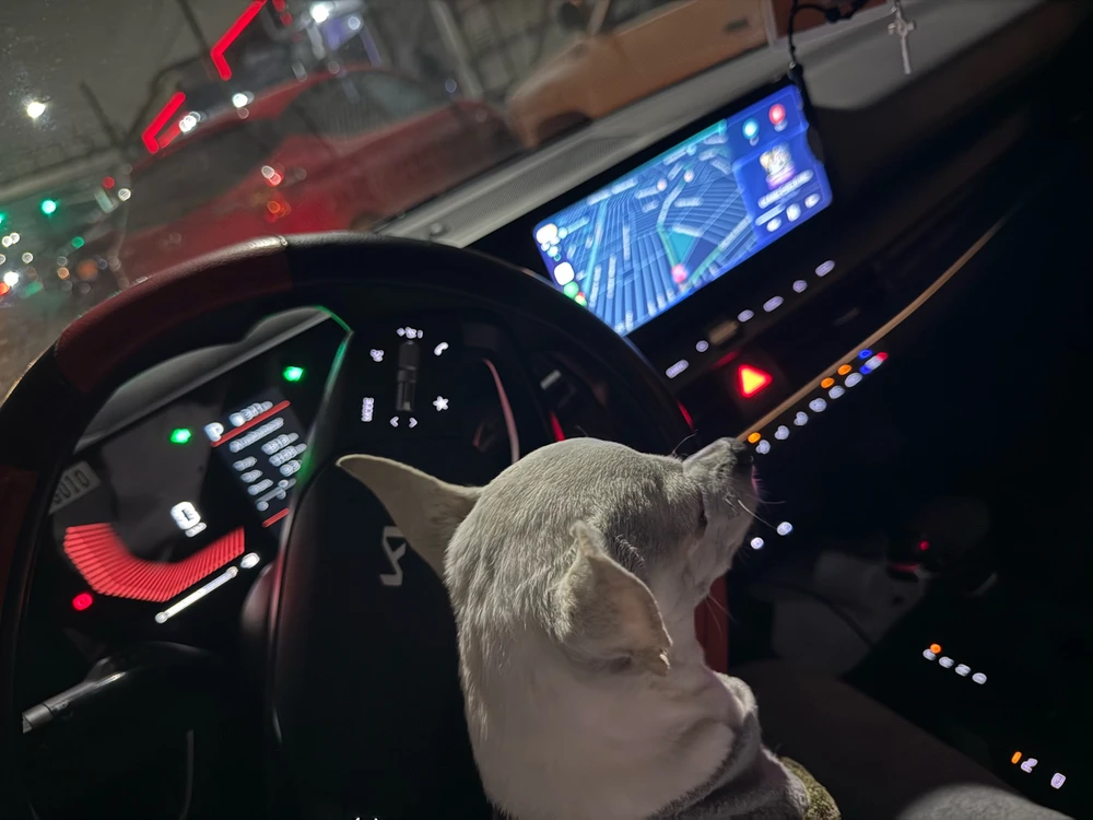 Imagen subida por Juan