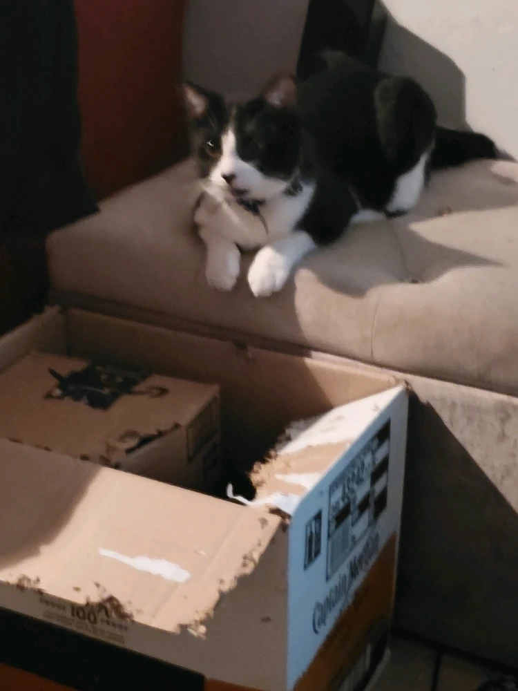 GIF diunggah dening Amanda